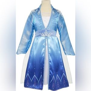 Elsa Frozen Dress/costume